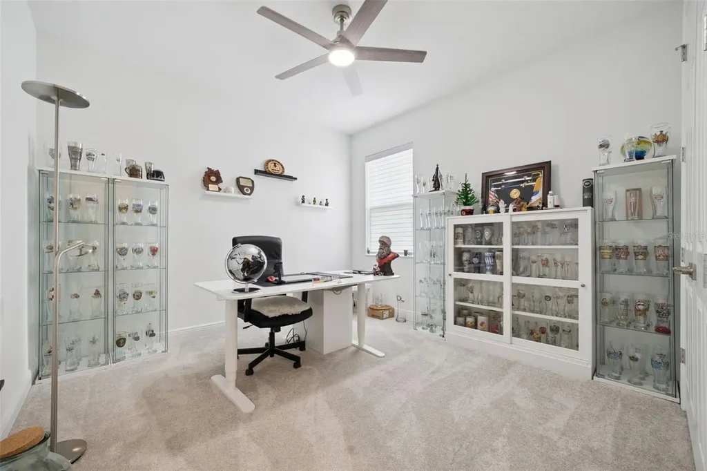 5897 Sierra Crown Street Mount Dora FL 32757