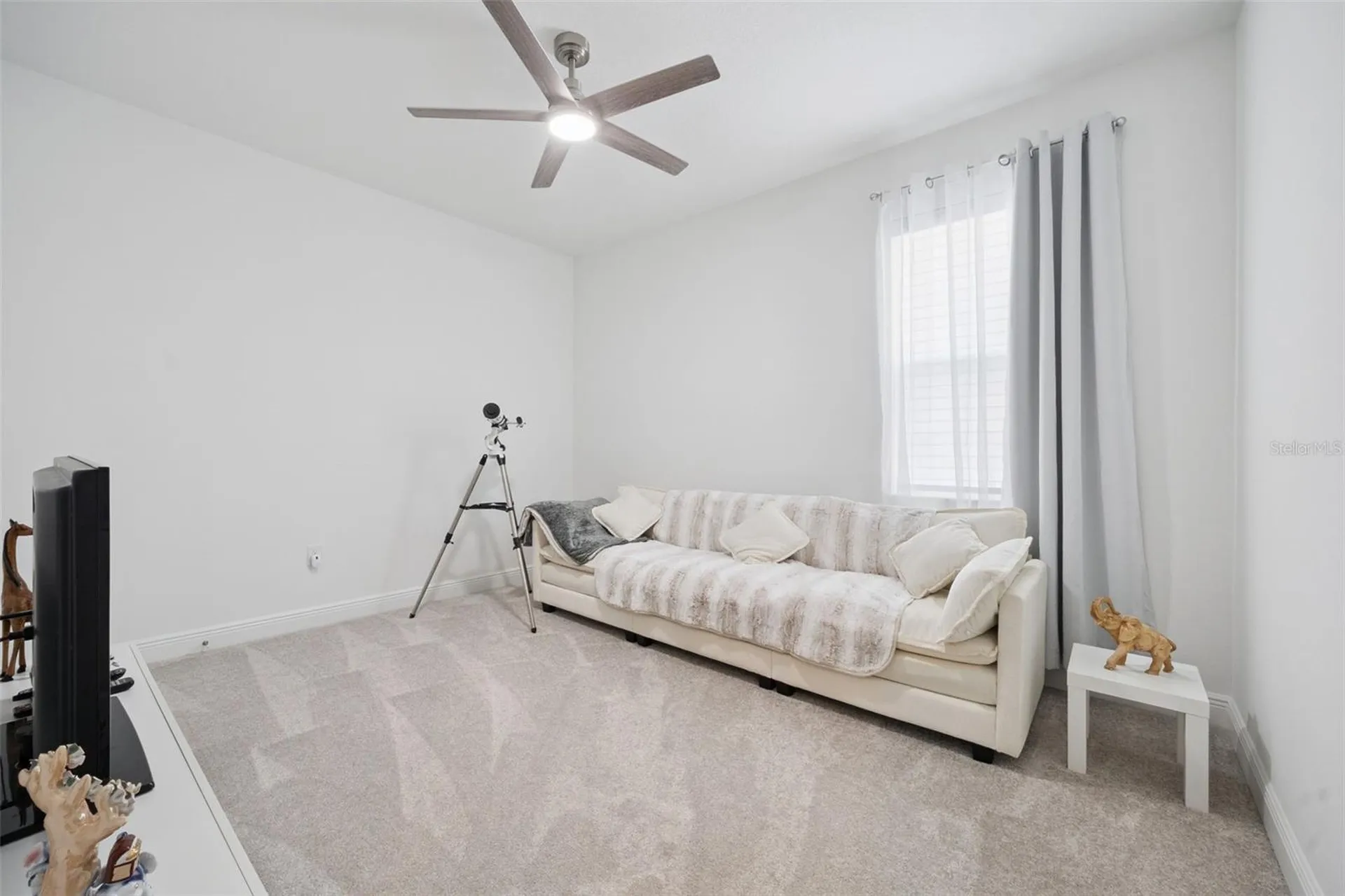 5897 Sierra Crown Street Mount Dora FL 32757