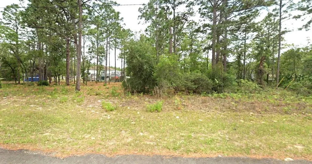 2078 W Linden Drive Citrus Springs FL 34434