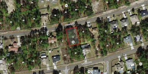 2078 W Linden Drive Citrus Springs FL 34434