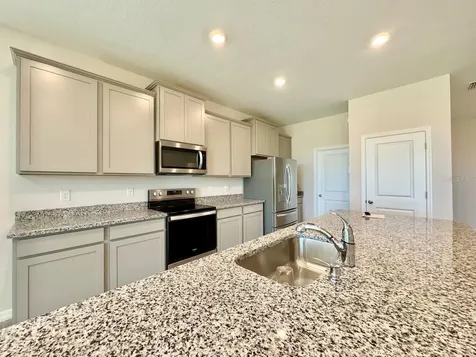 10959 Cotton Vale Place San Antonio FL 33576