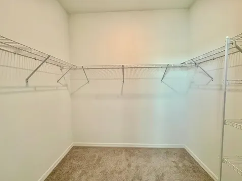 10959 Cotton Vale Place San Antonio FL 33576