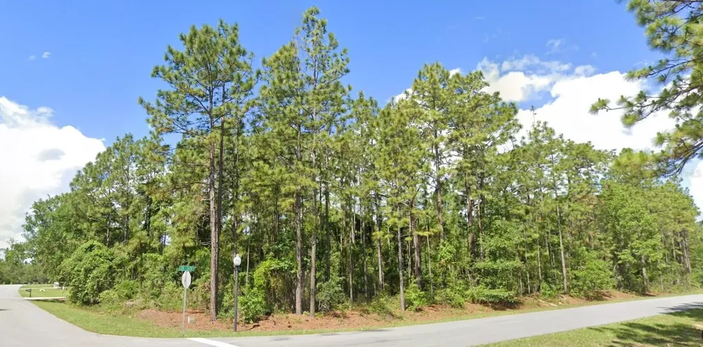 2020 Cr 243 B Wildwood FL 34785