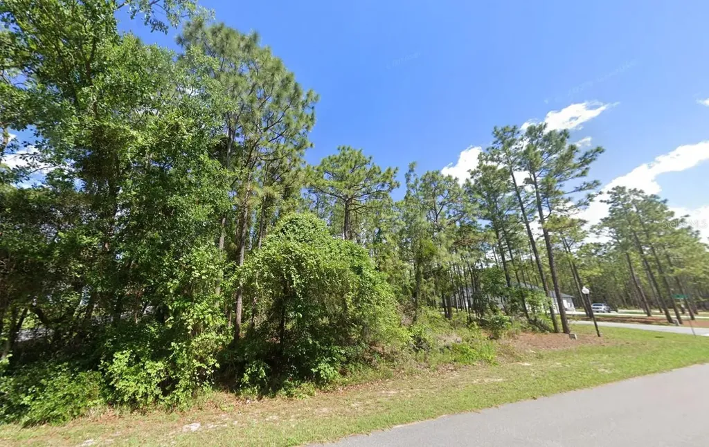 2020 Cr 243 B Wildwood FL 34785