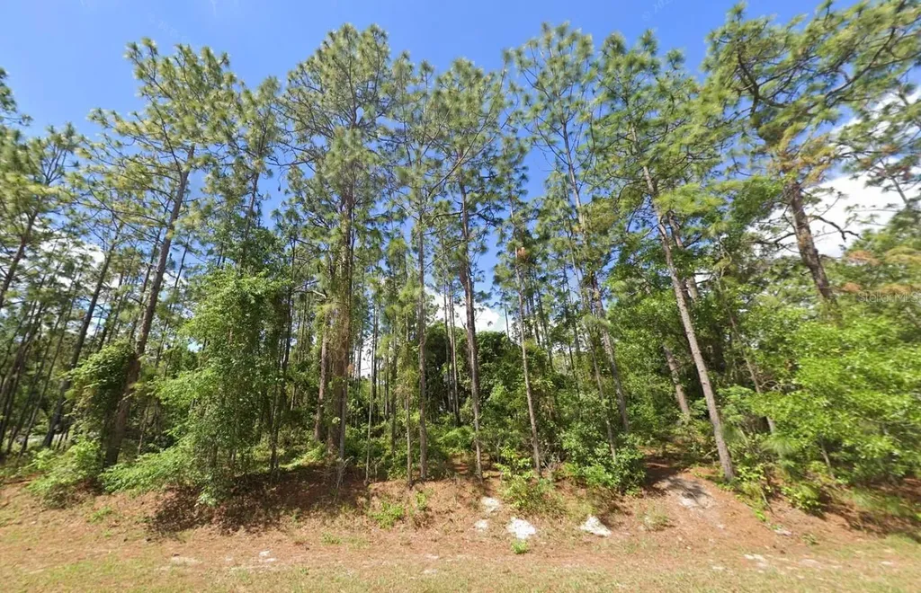 2020 Cr 243 B Wildwood FL 34785