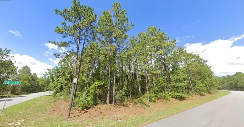 2020 Cr 243 B Wildwood FL 34785