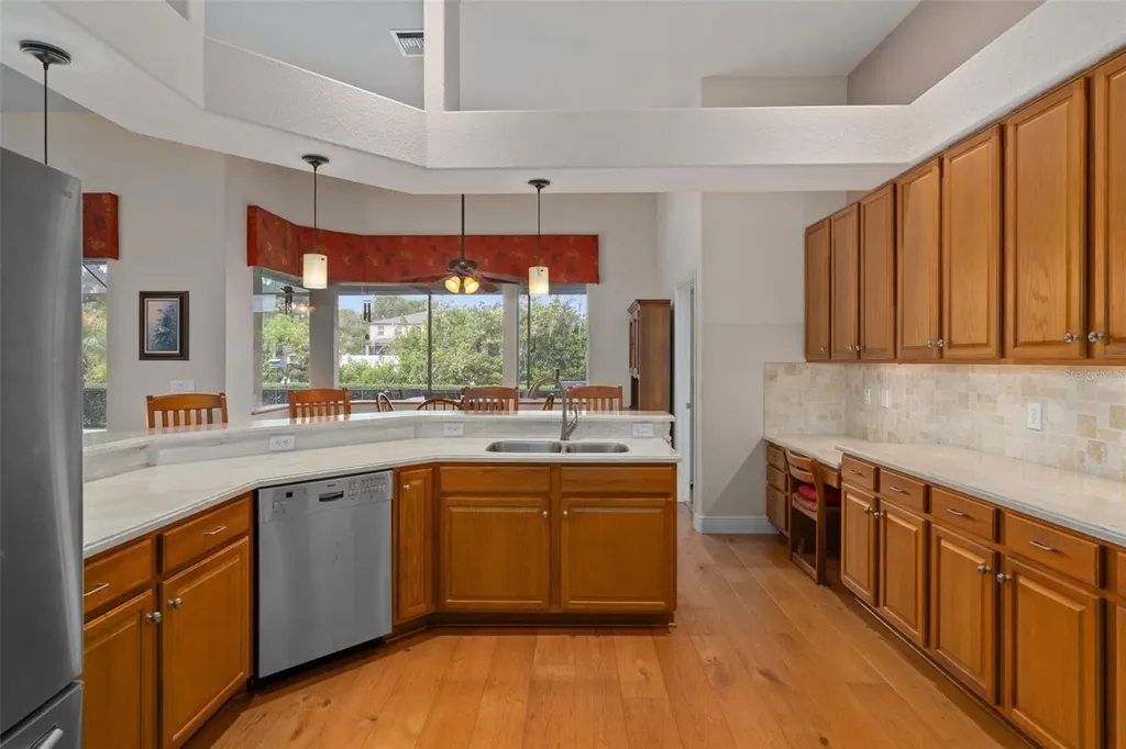 21133 Marsh Hawk Drive Land O Lakes FL 34638