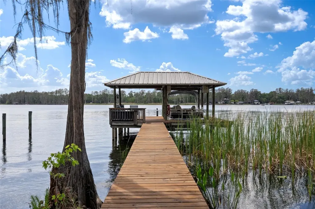 21133 Marsh Hawk Drive Land O Lakes FL 34638