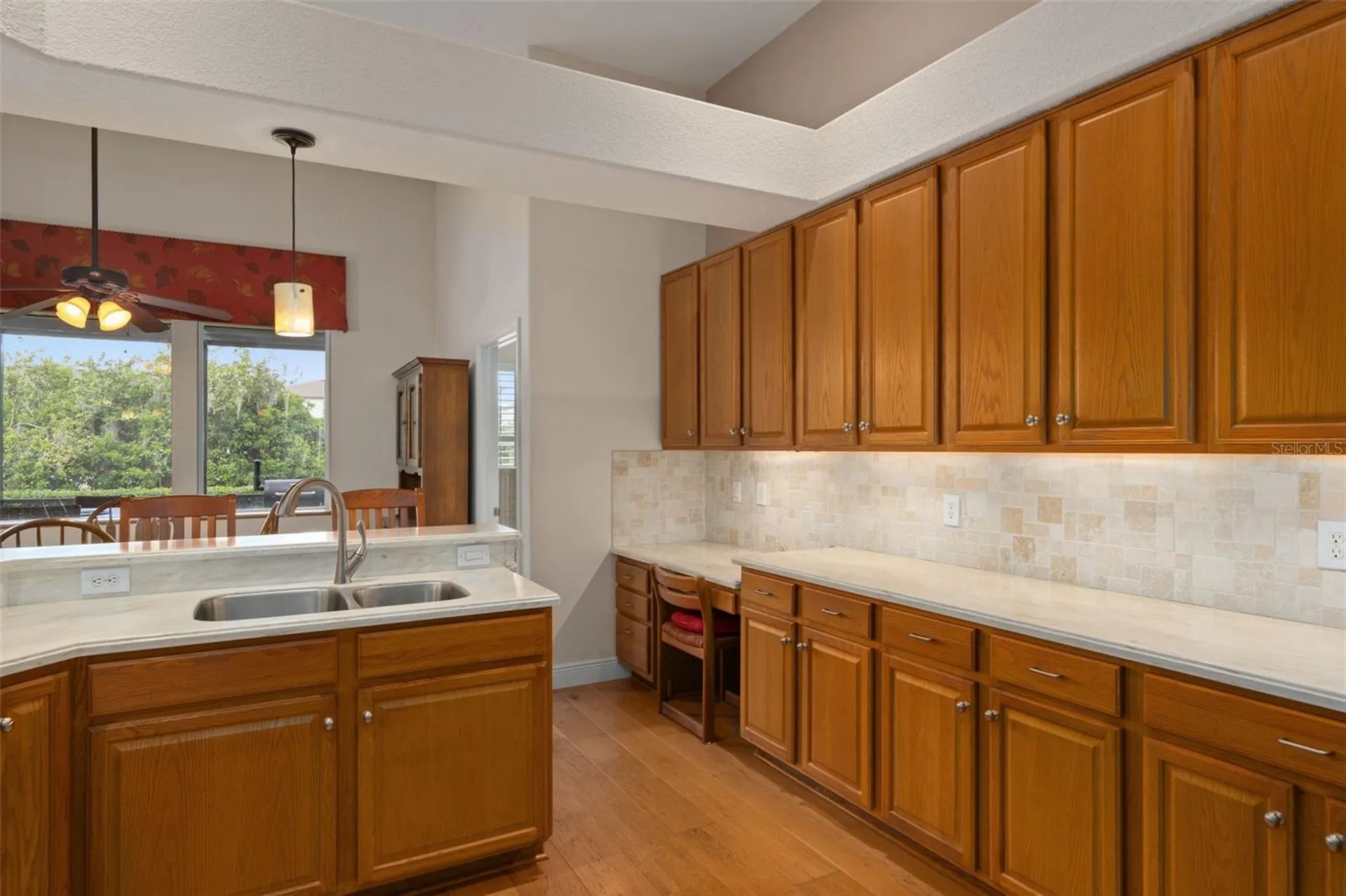 21133 Marsh Hawk Drive Land O Lakes FL 34638