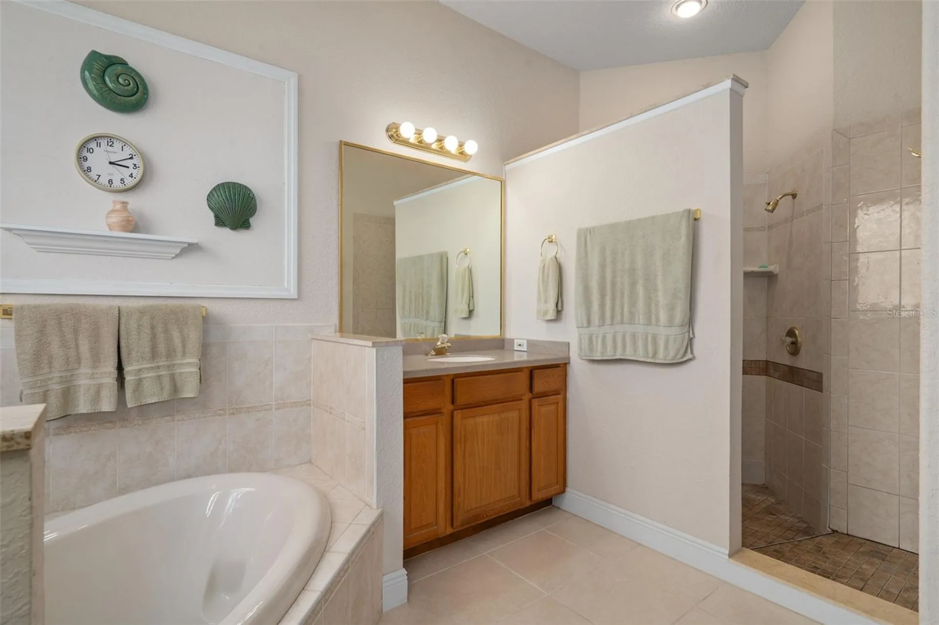 21133 Marsh Hawk Drive Land O Lakes FL 34638