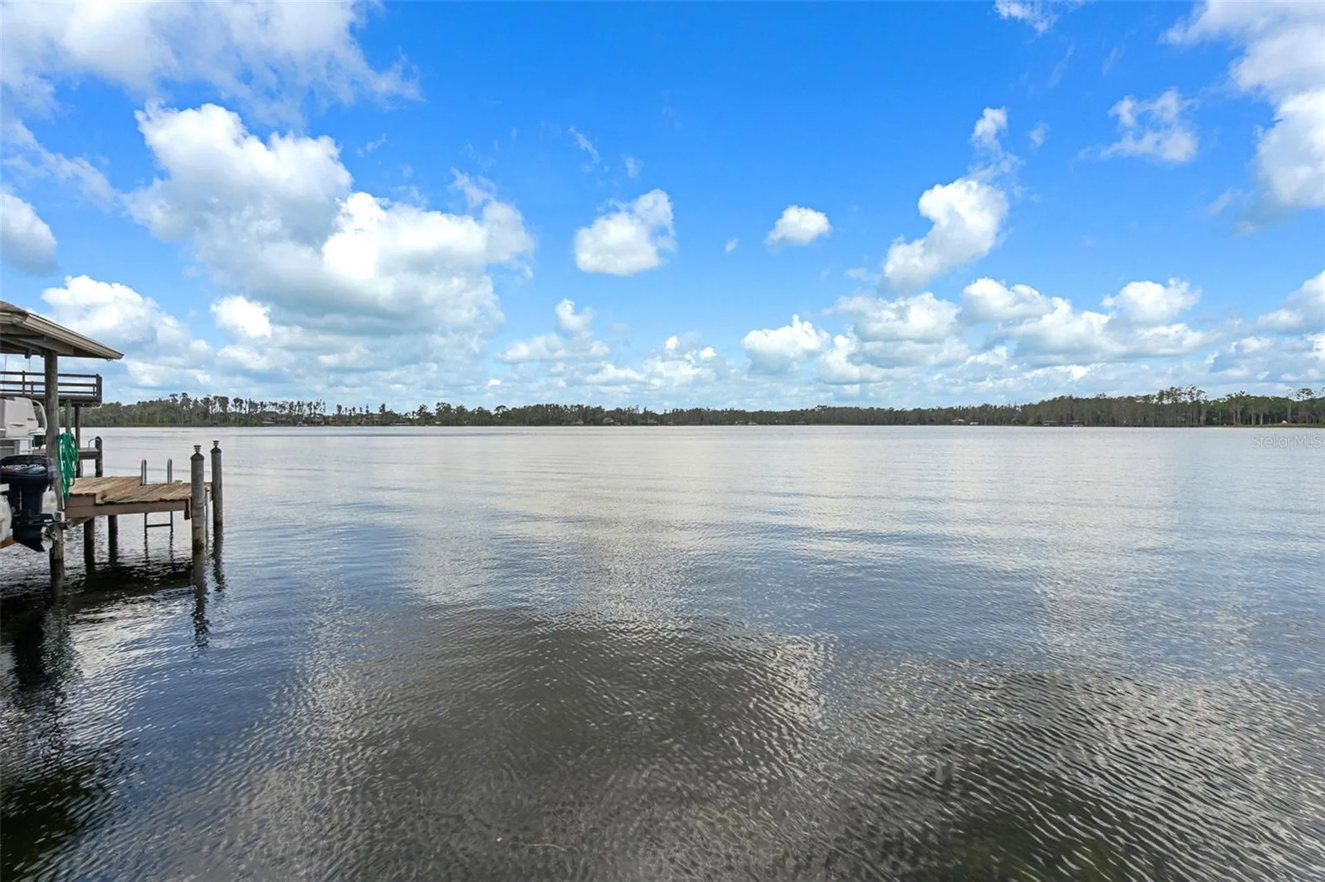 21133 Marsh Hawk Drive Land O Lakes FL 34638