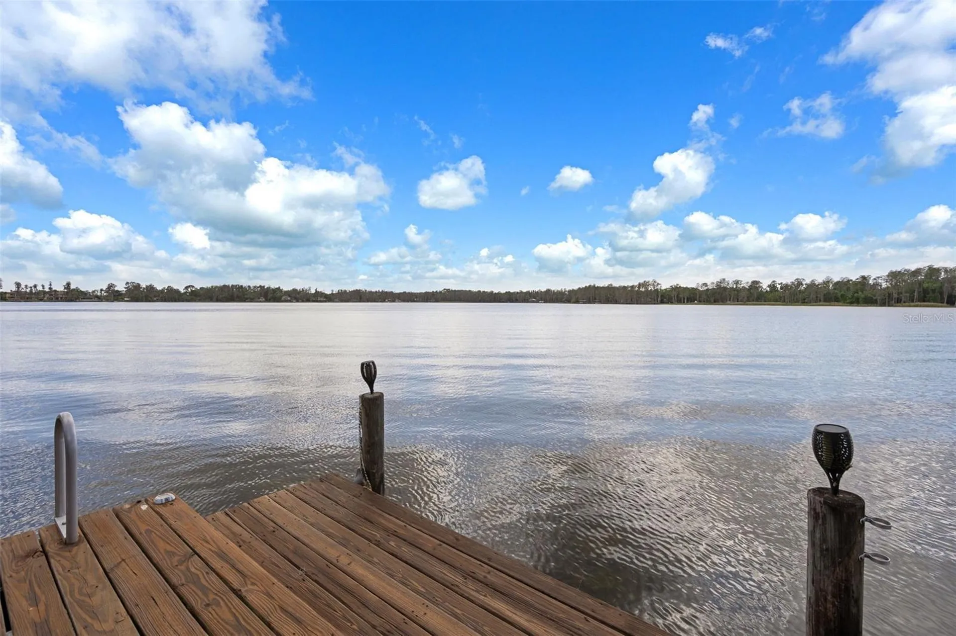 21133 Marsh Hawk Drive Land O Lakes FL 34638