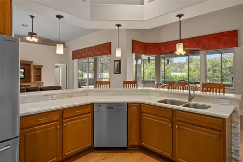 21133 Marsh Hawk Drive Land O Lakes FL 34638