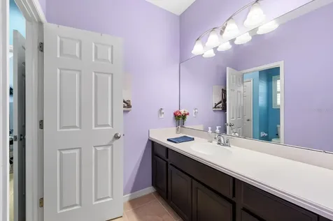 11403 Scribner Station Lane Lithia FL 33547