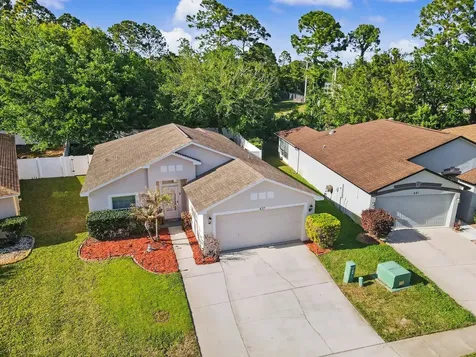 437 Dahoon Holly Drive Daytona Beach FL 32117