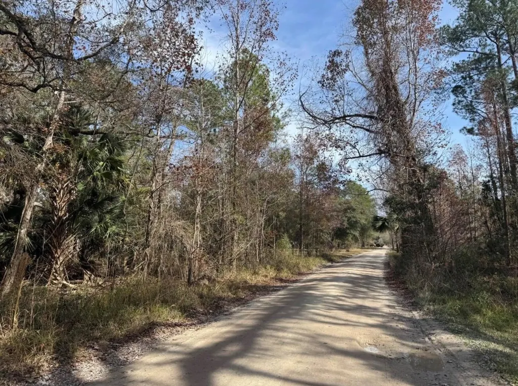 Undetermined Citra FL 32113