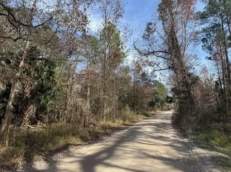 Undetermined Citra FL 32113