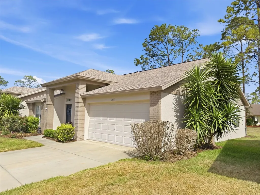 11503 Baronwood Court Hudson FL 34667