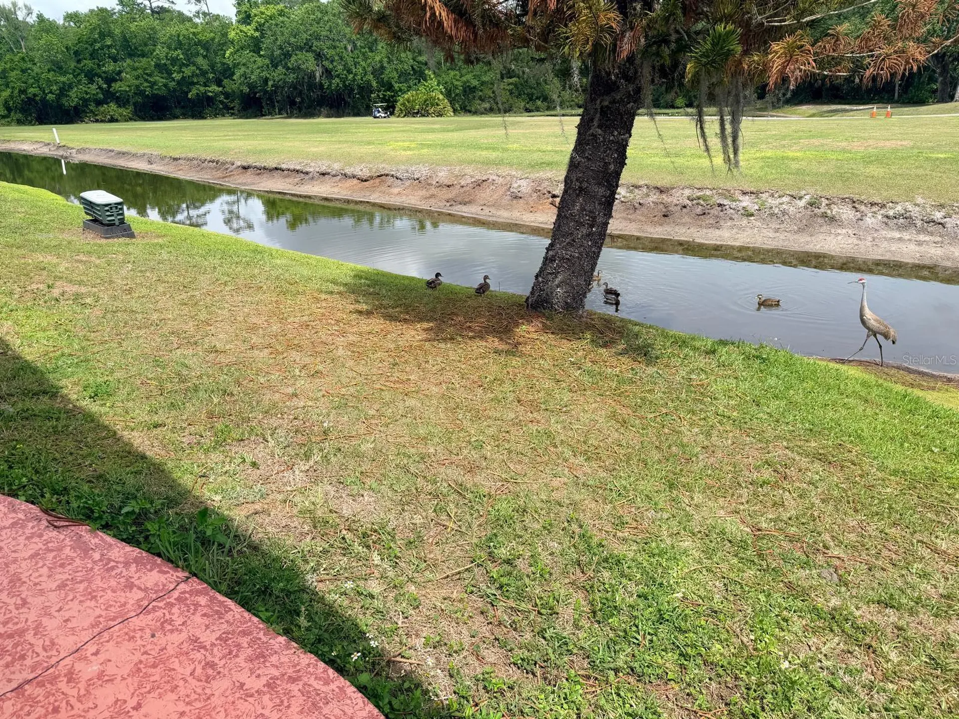 2173 Pebble Beach Boulevard Orlando FL 32826