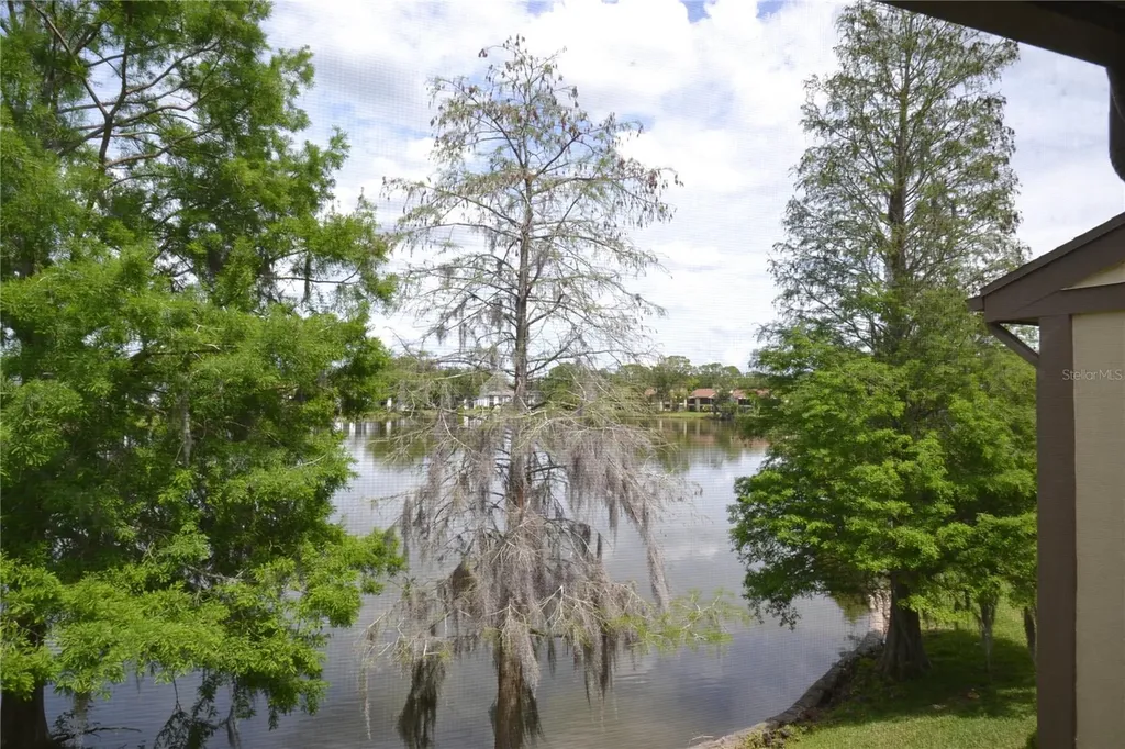 284 Woodlake Wynde Oldsmar FL 34677
