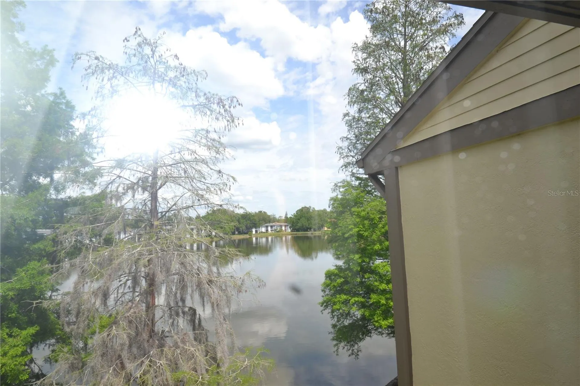 284 Woodlake Wynde Oldsmar FL 34677