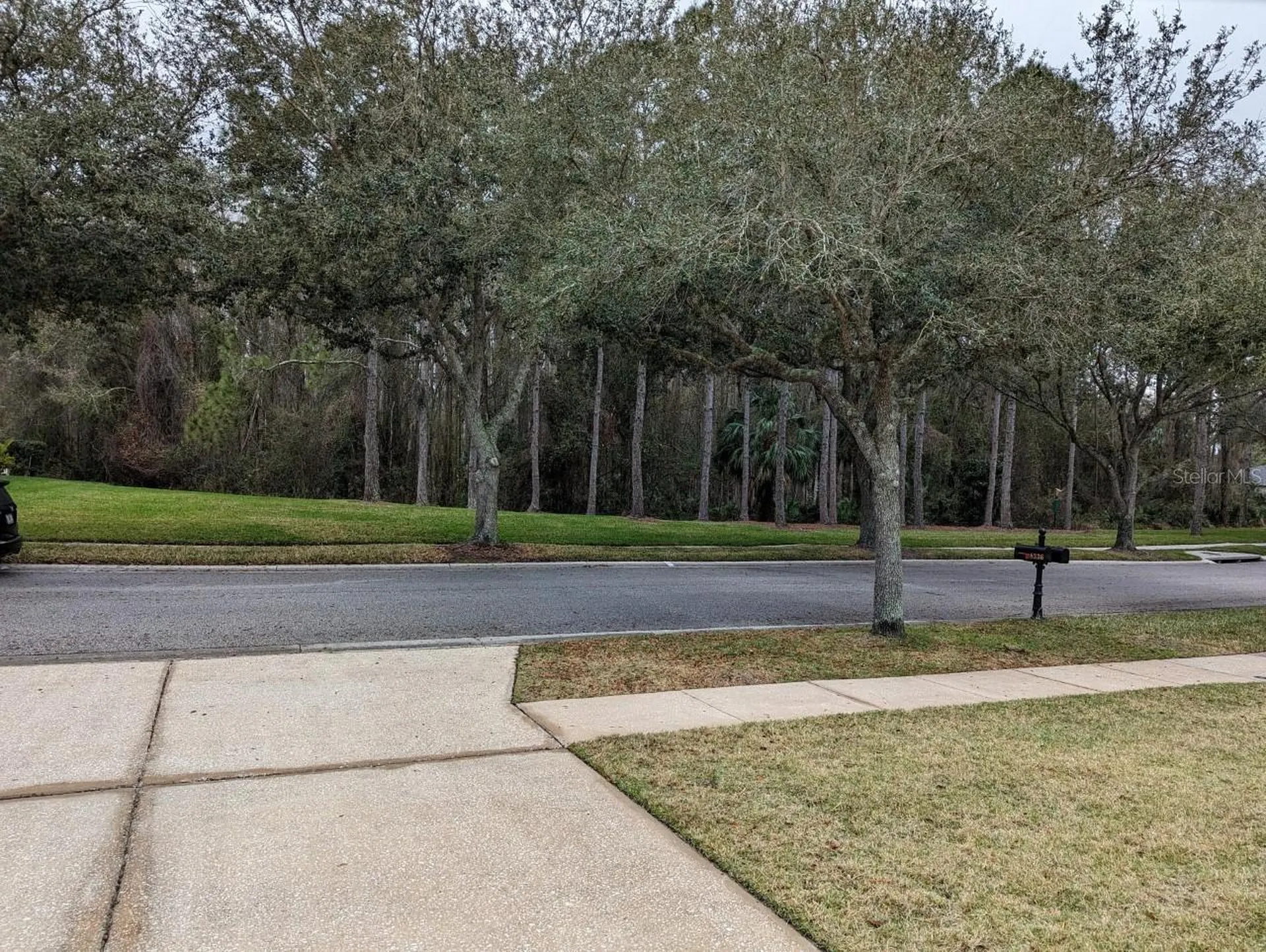 8336 Torrington Avenue Tampa FL 33647