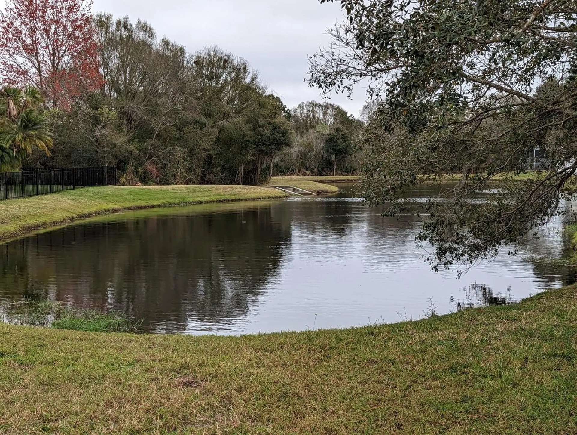 8336 Torrington Avenue Tampa FL 33647