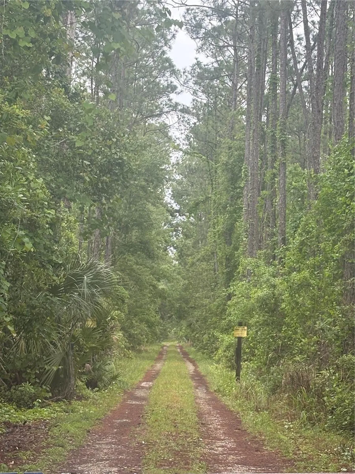 No Street Deland FL 32724