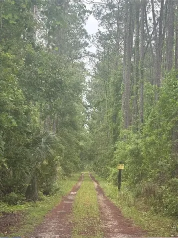 No Street Deland FL 32724