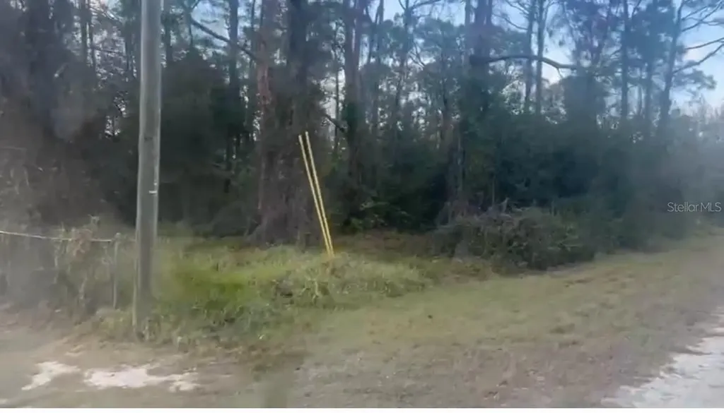 311 Wilson Lane NE Lake Placid FL 33852