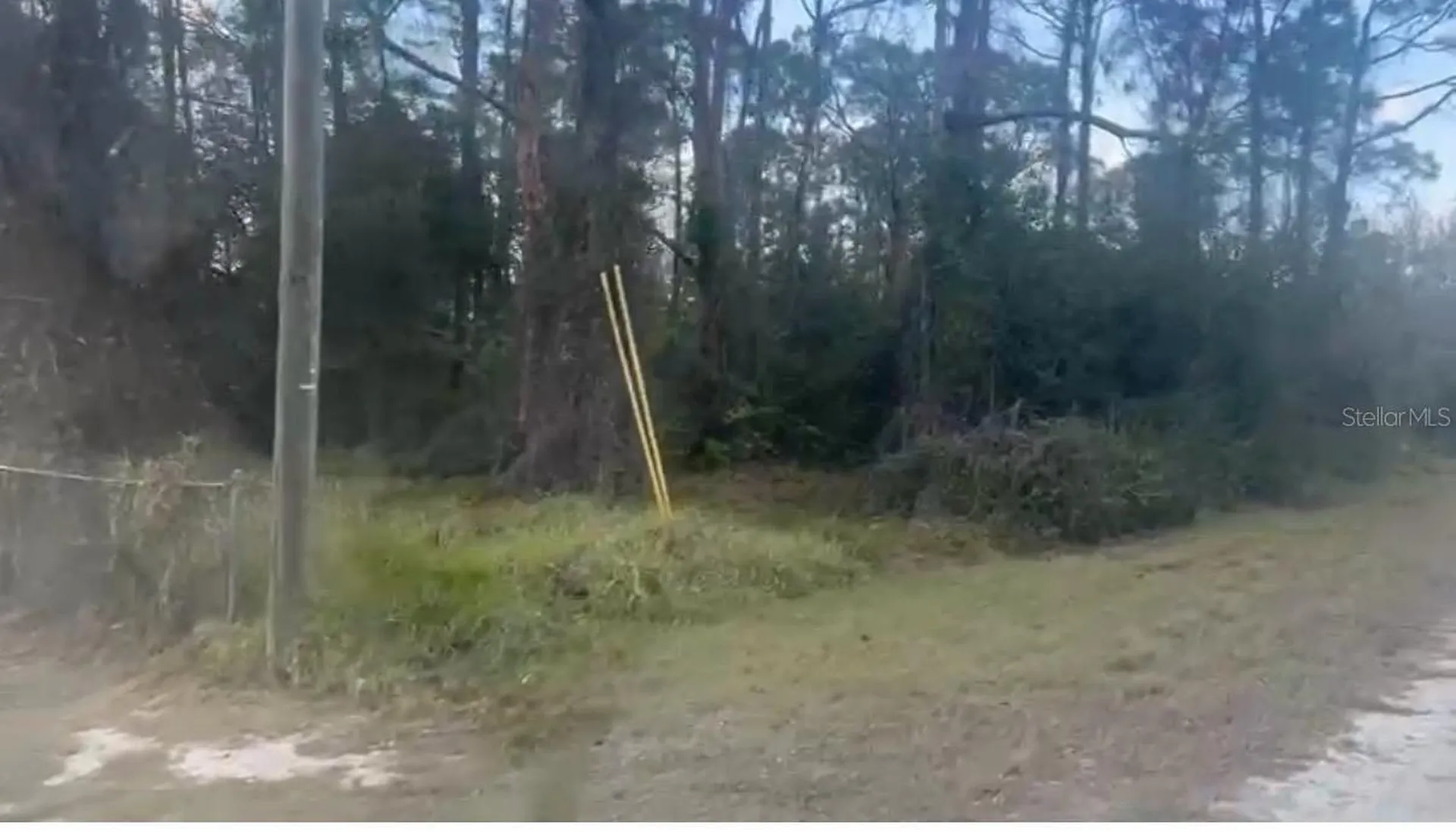 311 Wilson Lane NE Lake Placid FL 33852