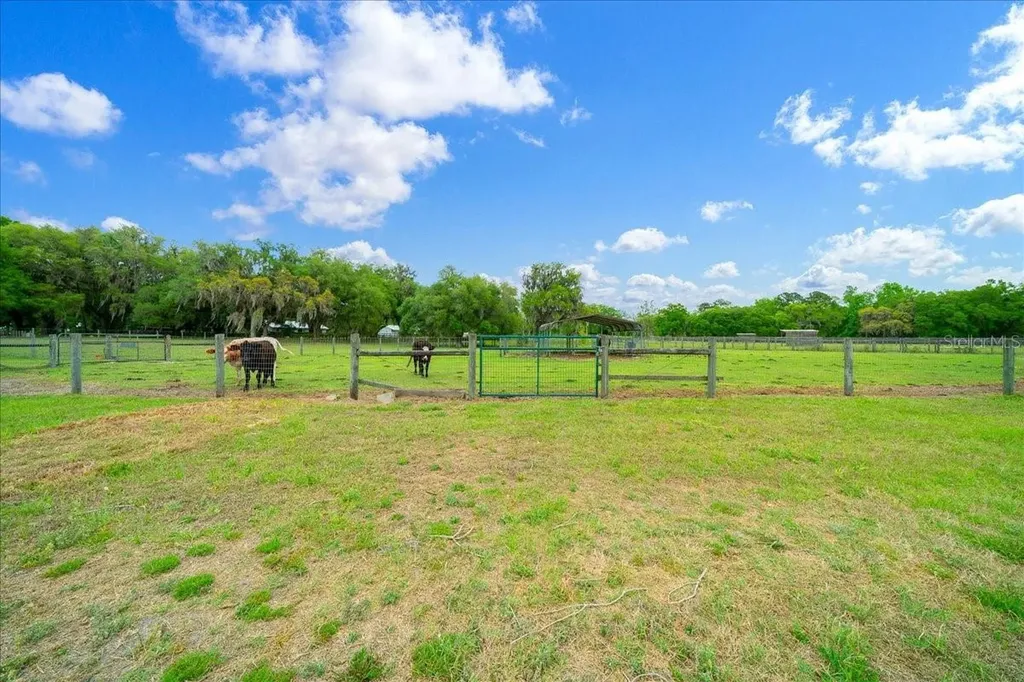 13456 W Highway 318 Williston FL 32696