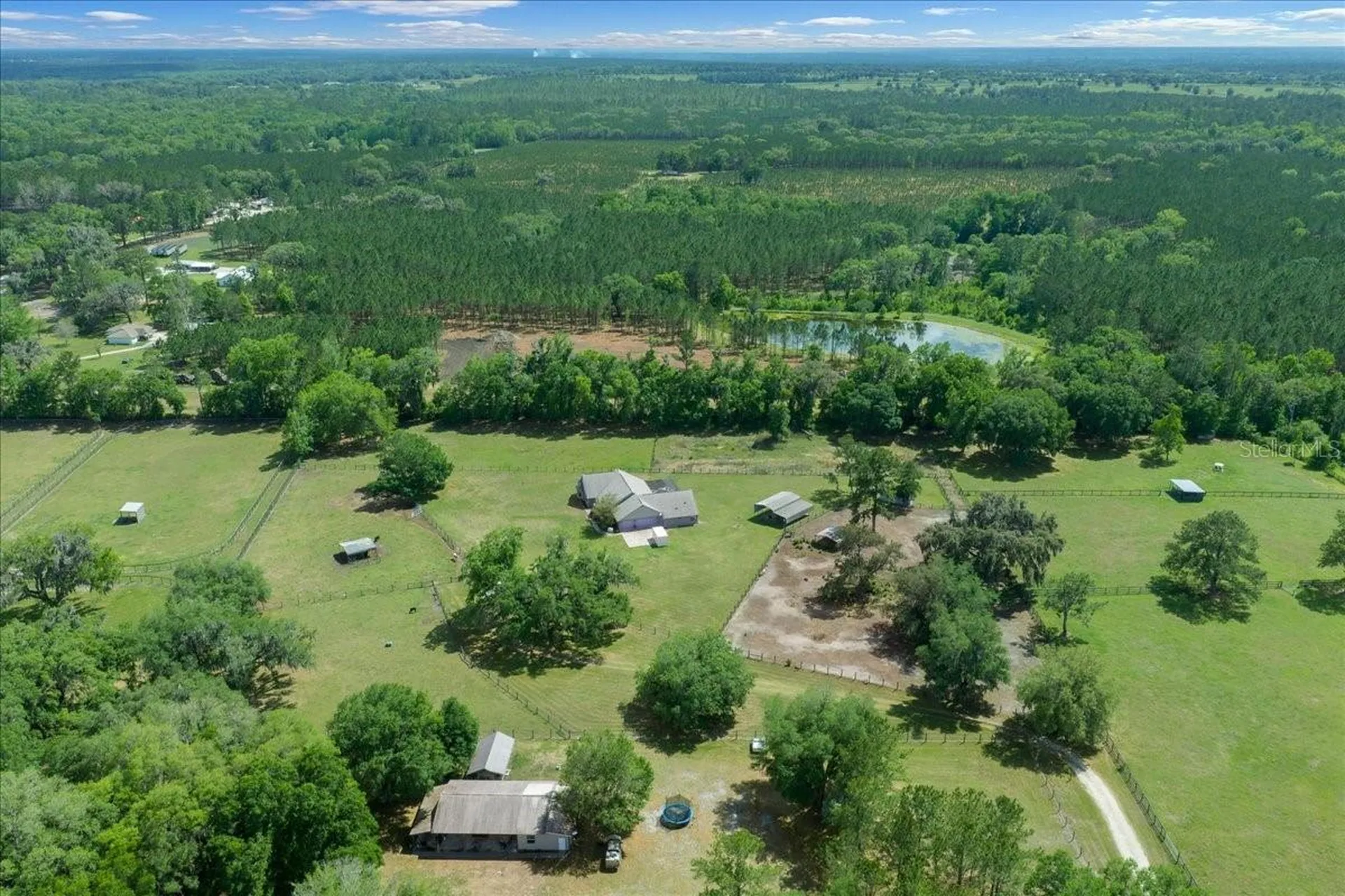 13456 W Highway 318 Williston FL 32696