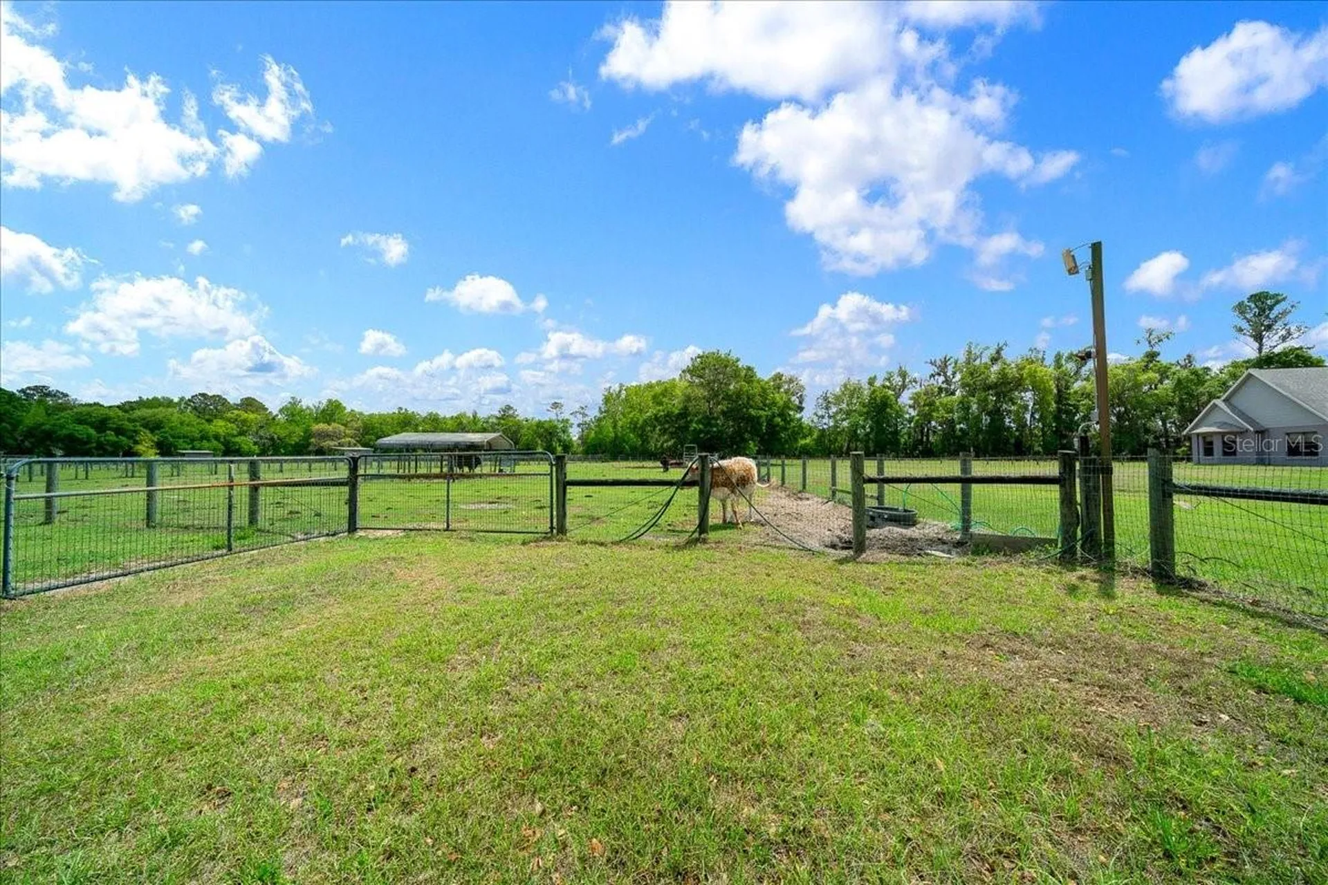 13456 W Highway 318 Williston FL 32696