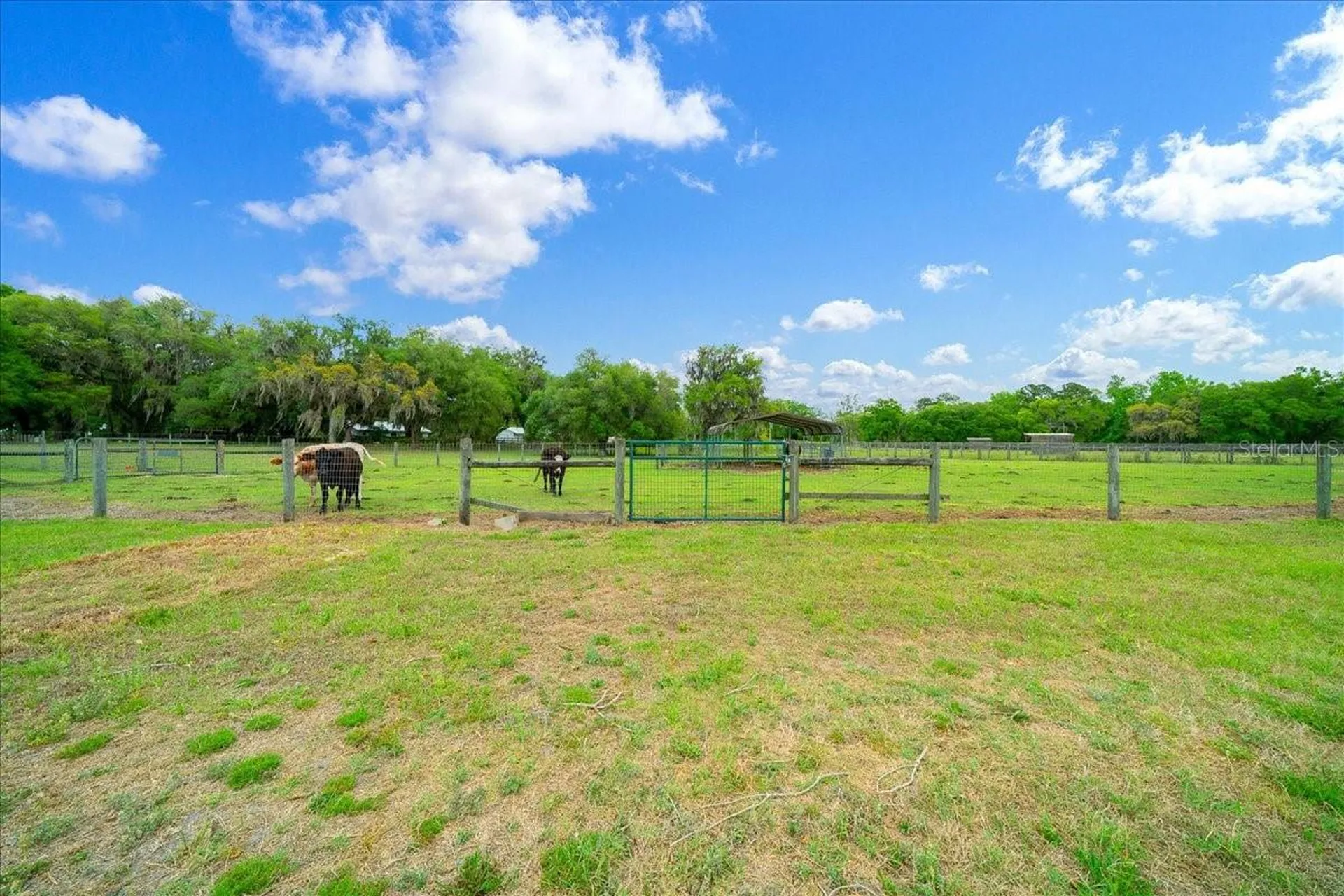 13456 W Highway 318 Williston FL 32696