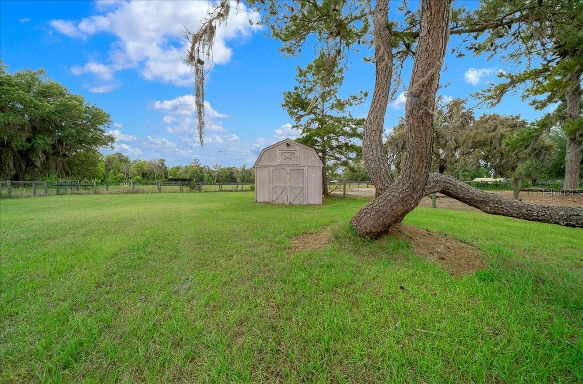 13456 W Highway 318 Williston FL 32696
