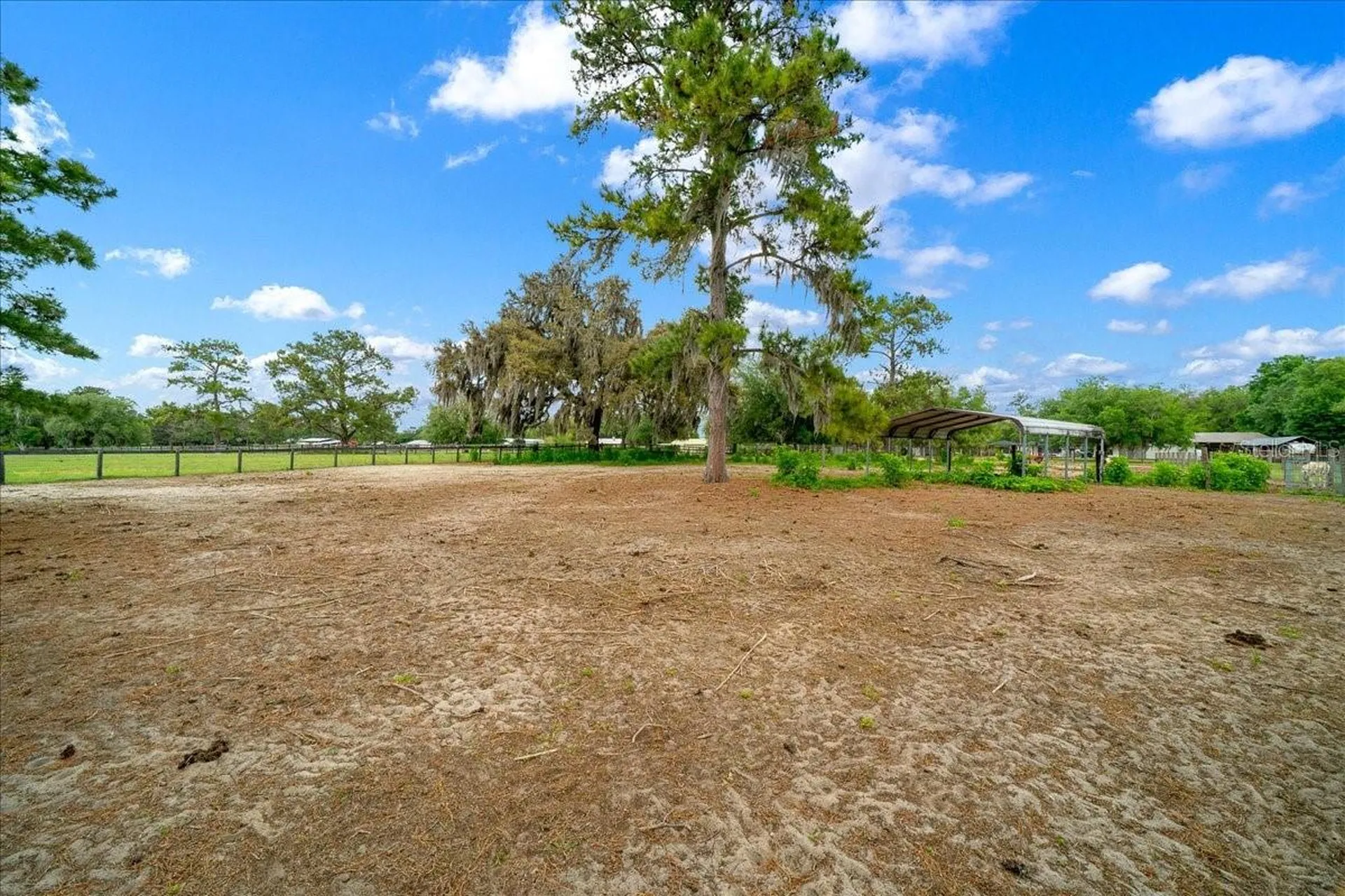 13456 W Highway 318 Williston FL 32696