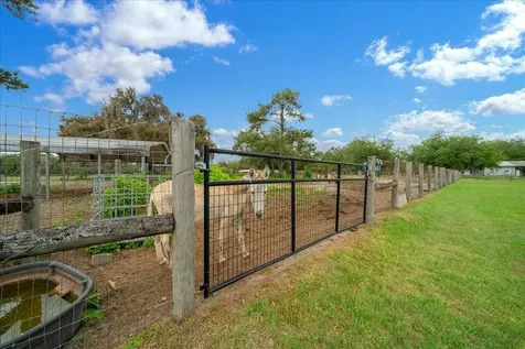 13456 W Highway 318 Williston FL 32696