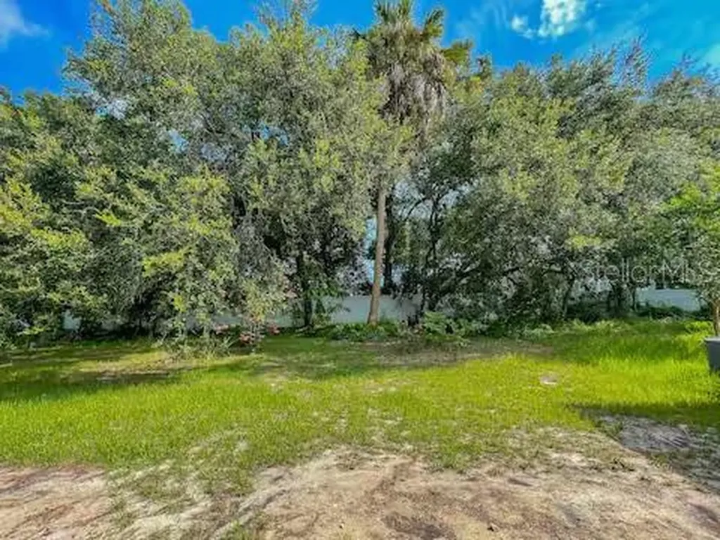 10108 Hawk Storm Avenue Tampa FL 33610