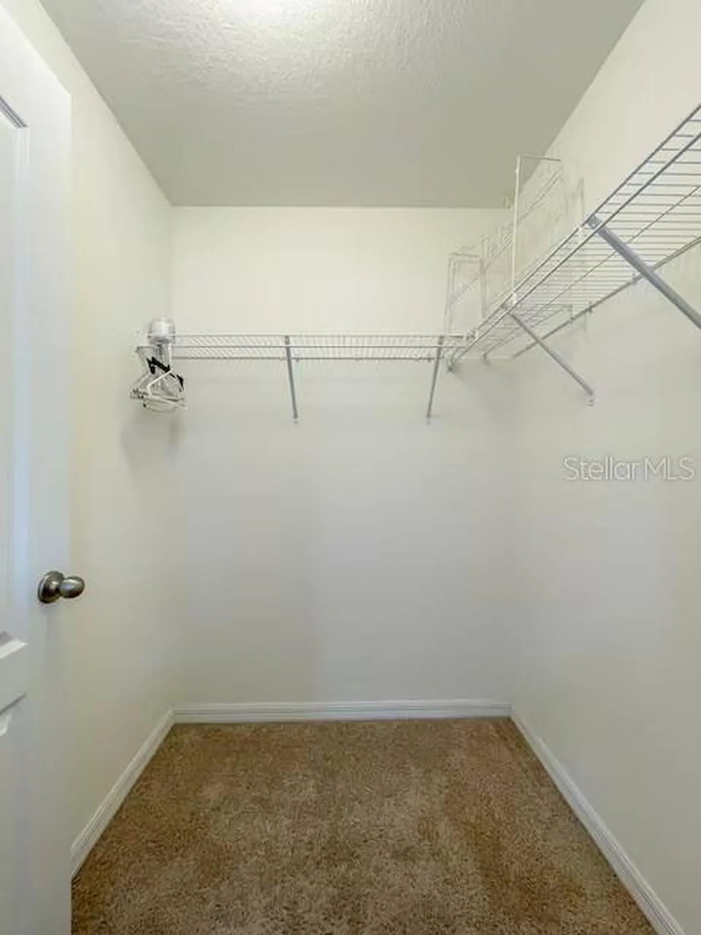 10108 Hawk Storm Avenue Tampa FL 33610