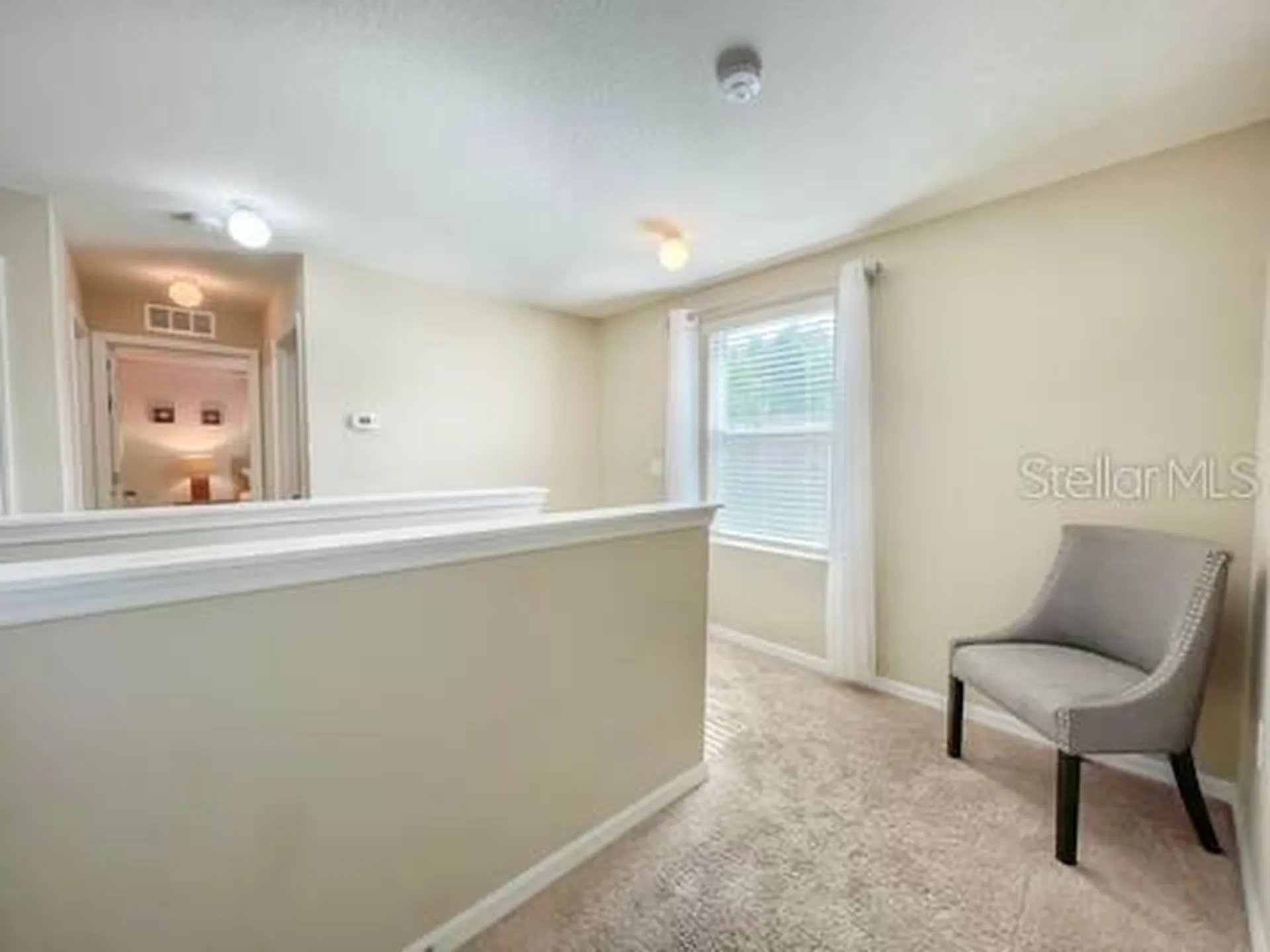 10108 Hawk Storm Avenue Tampa FL 33610