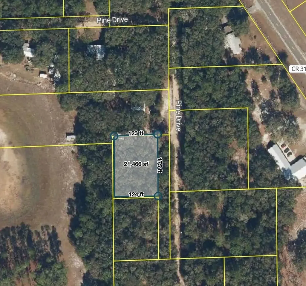 181 Pine Drive Interlachen FL 32148
