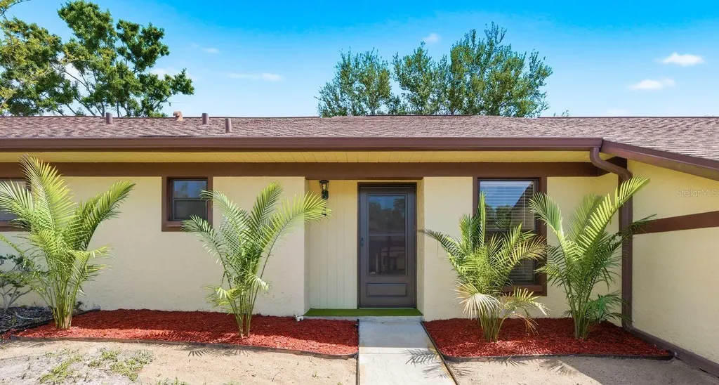 1311 Powderpuff Drive Dunedin FL 34698