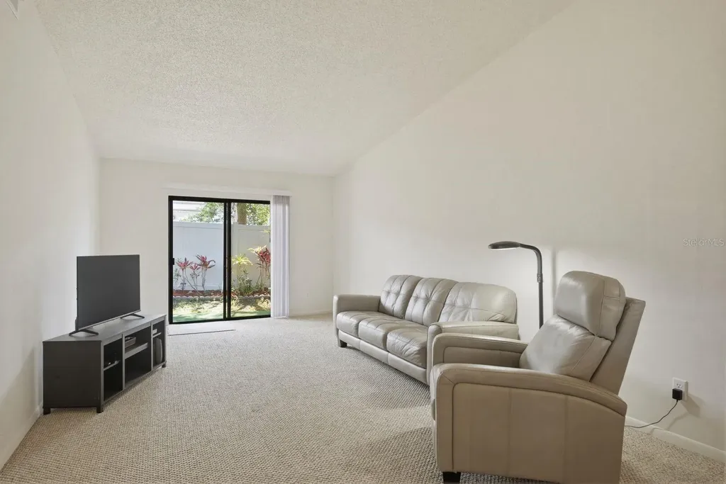 1311 Powderpuff Drive Dunedin FL 34698