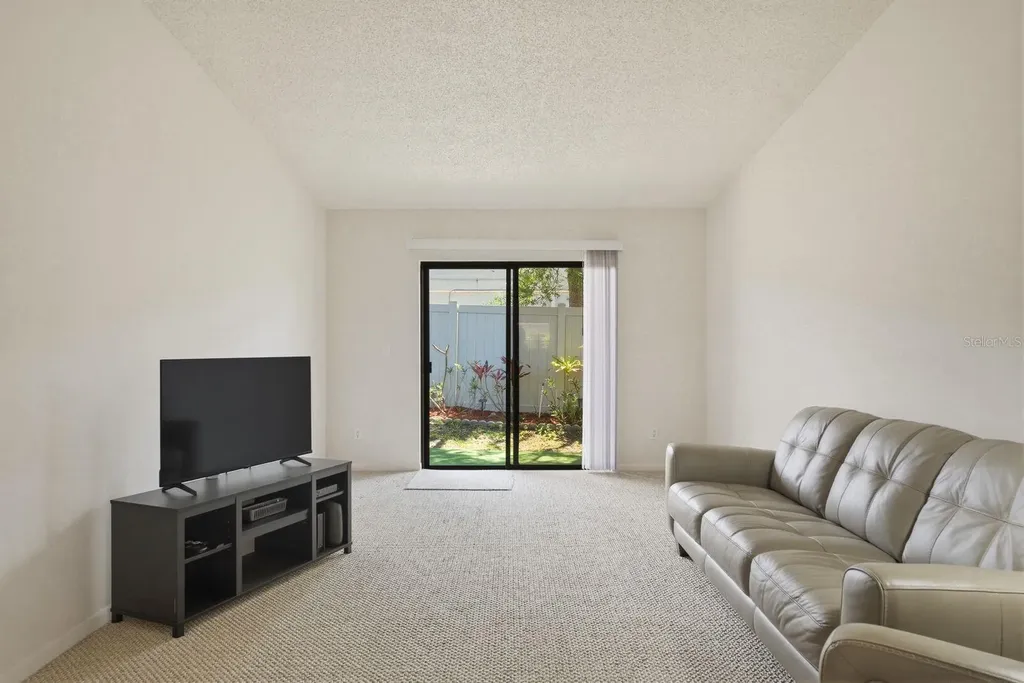 1311 Powderpuff Drive Dunedin FL 34698
