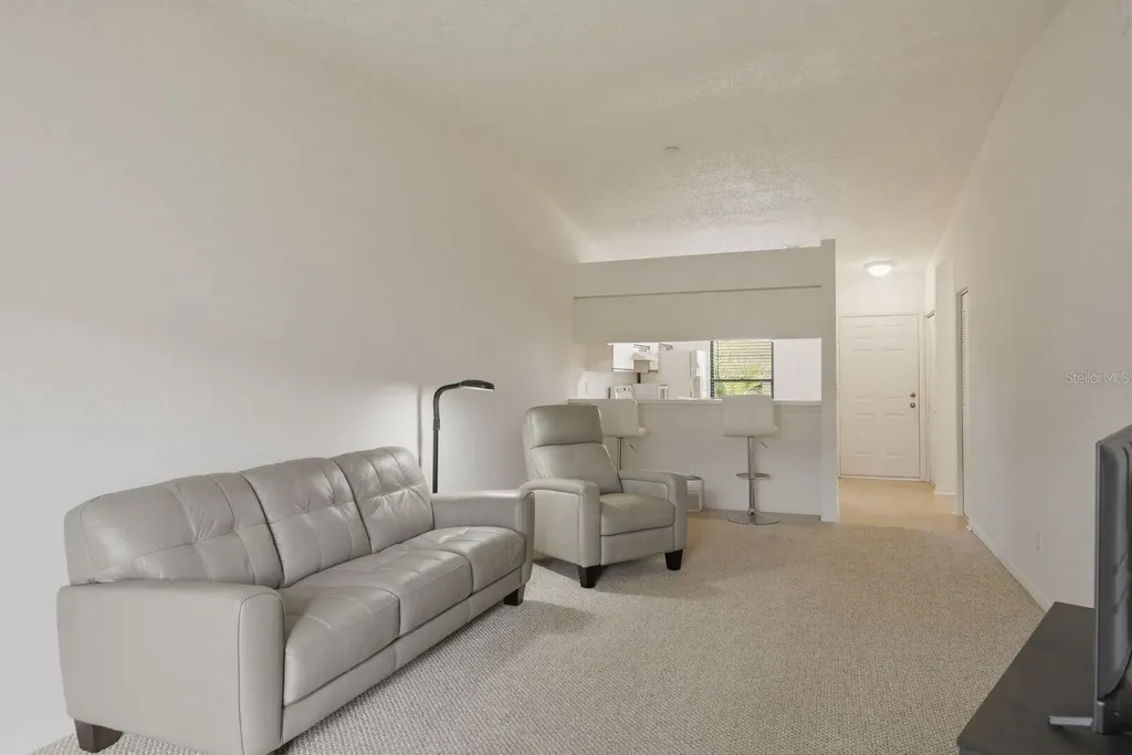 1311 Powderpuff Drive Dunedin FL 34698