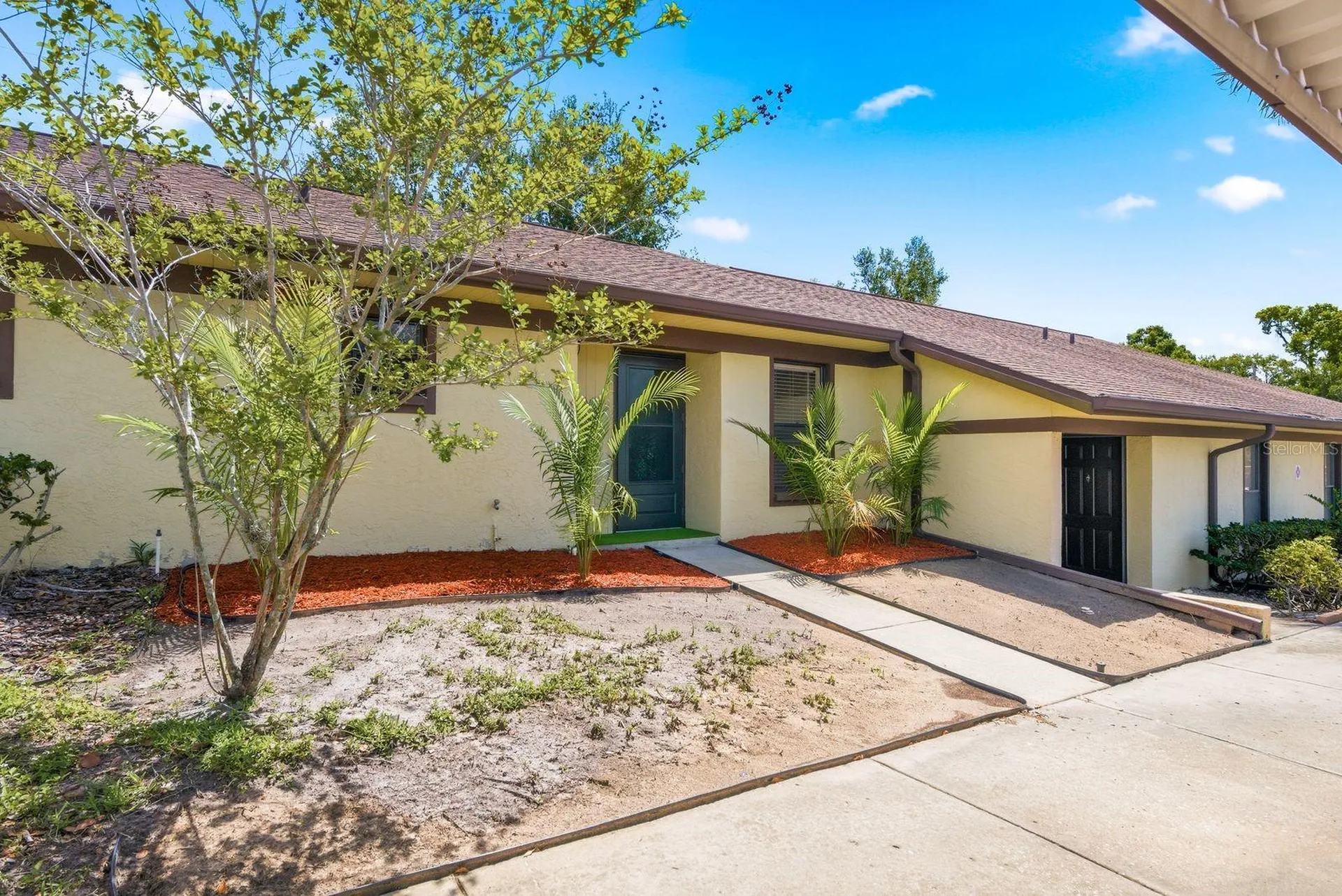 1311 Powderpuff Drive Dunedin FL 34698