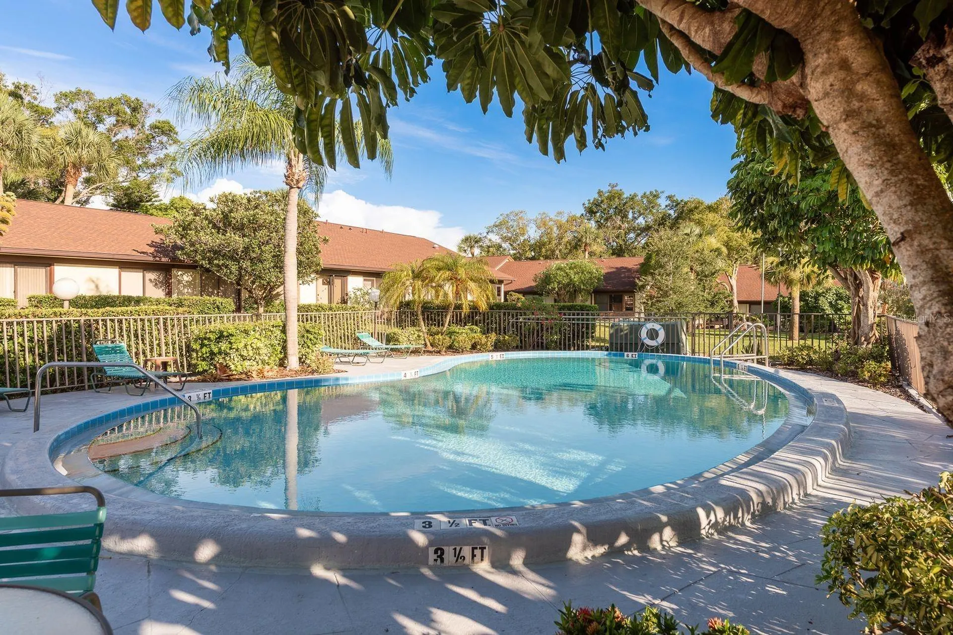 1311 Powderpuff Drive Dunedin FL 34698
