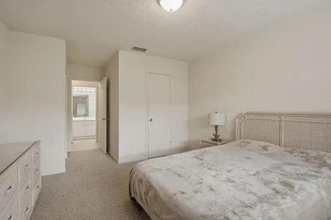 1311 Powderpuff Drive Dunedin FL 34698