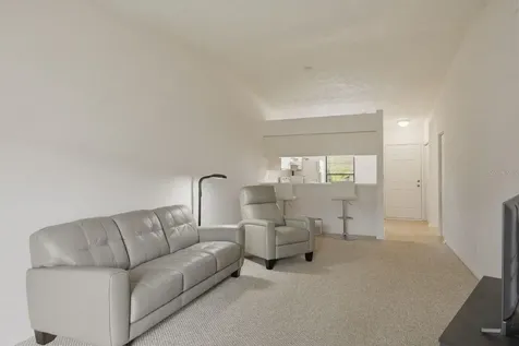 1311 Powderpuff Drive Dunedin FL 34698
